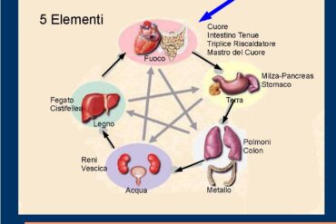 Elemento Legno – Fegato e Cistifellea